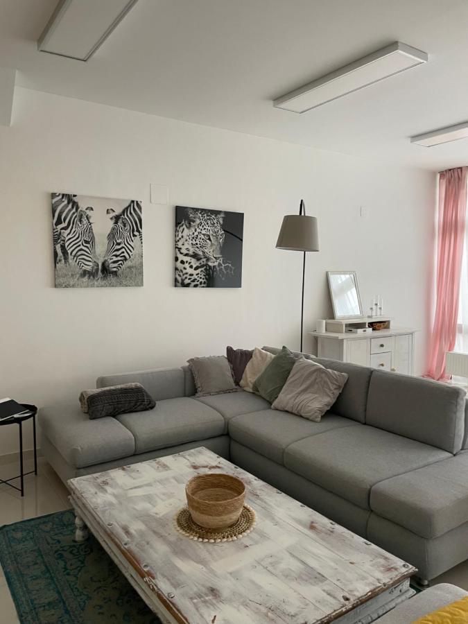 Stadtsuite Mit Sauna In Wiener Neustadt 135 M2 Esterno foto